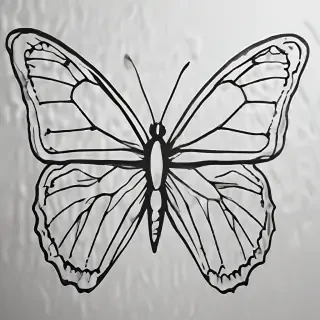 butterfly outline