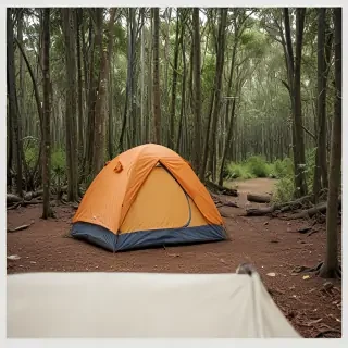 camping png