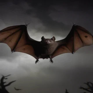pictures of halloween bats
