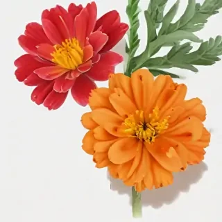 marigold png