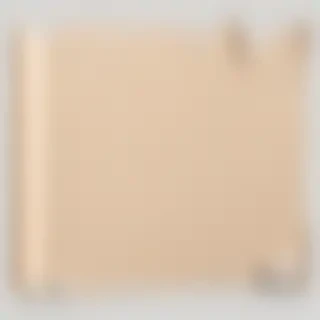 paper ripped png
