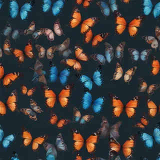 background images of butterfly