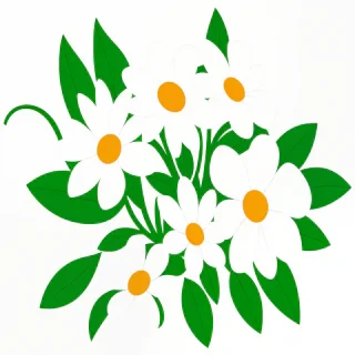 flower clipart transparent