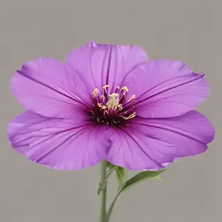 purple flower png