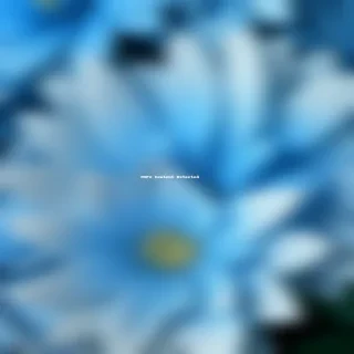 background blue flower wallpaper