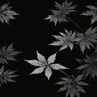 black bg aesthetic
