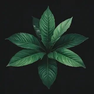 plant iphone wallpaper