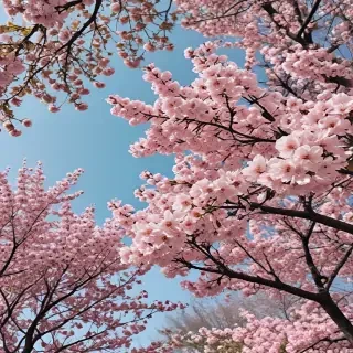 aesthetic wallpaper spring
