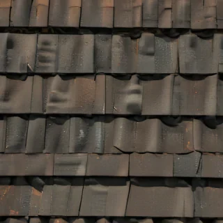 shingles images