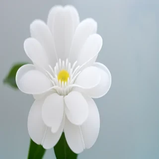 transparent white flower