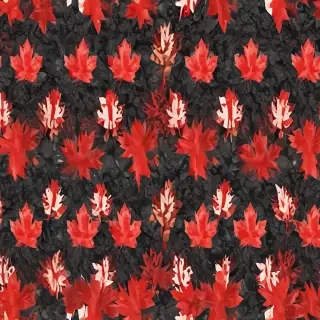 canada png