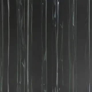 straight line transparent