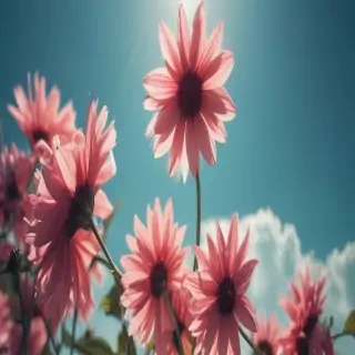 summer iphone wallpaper