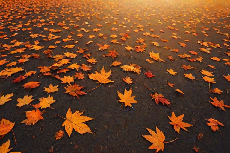 fall iphone wallpaper