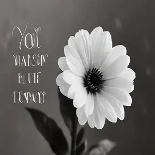 thank you black and white
