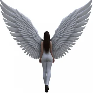 angle wings png