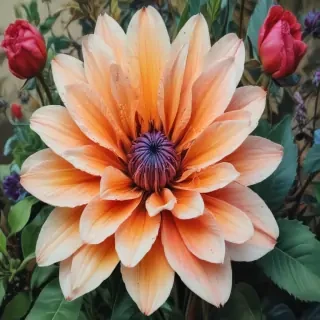 flower drawings with color