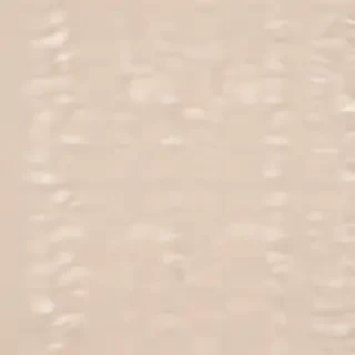 neutral aesthetic background