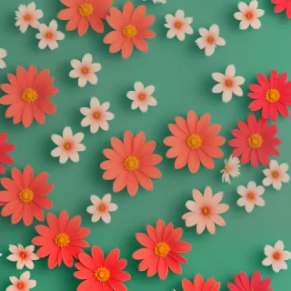 phone wallpaper flowers