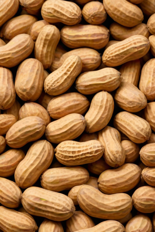 peanut png