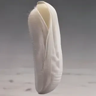 swoosh