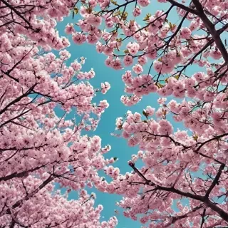 springtime iphone wallpaper