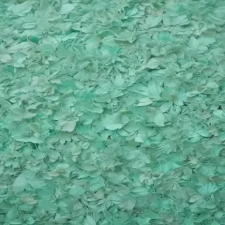 mint green backgrounds