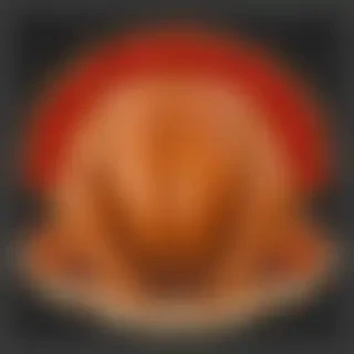 turkey png
