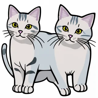 transparent cat clipart