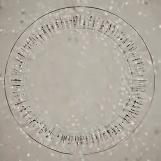 circle iamge