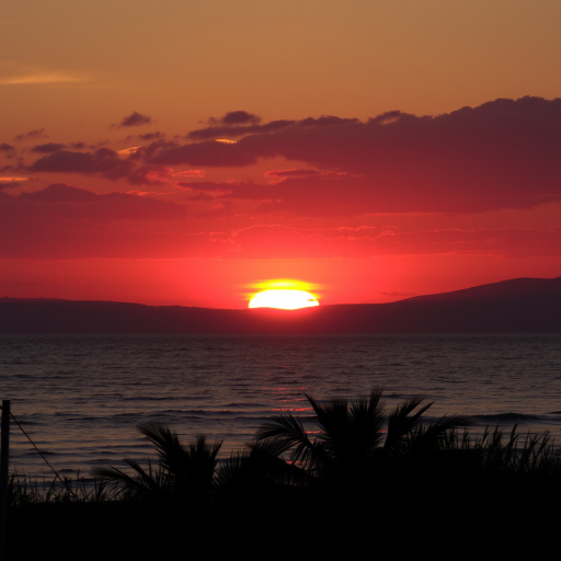 sunset wallpaper for phone