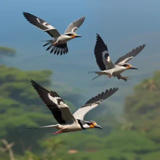 birds flying png