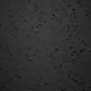 zoom backgrounds