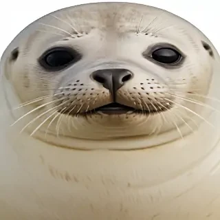 seal png