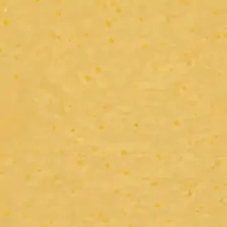 aesthetic yellow bg