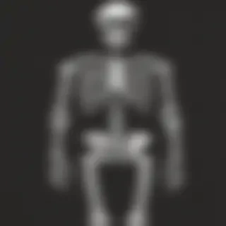 skeleton wallpaper