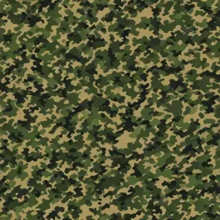 camo png