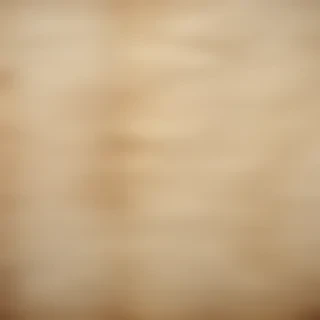 worn paper texture