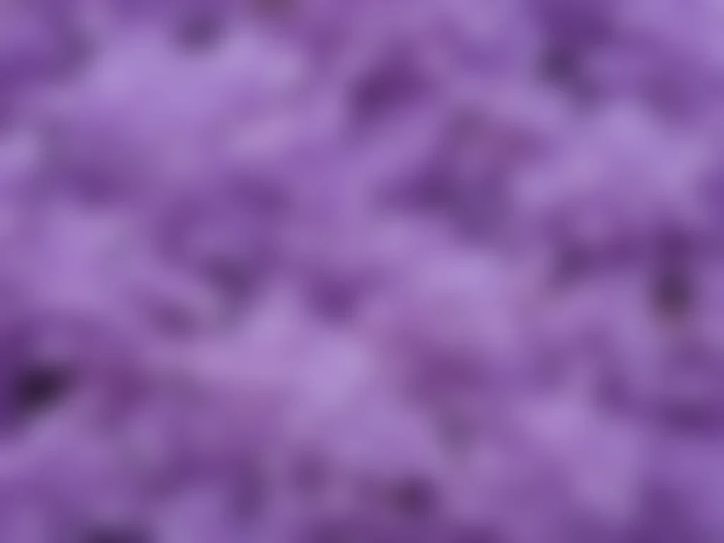 lilac background