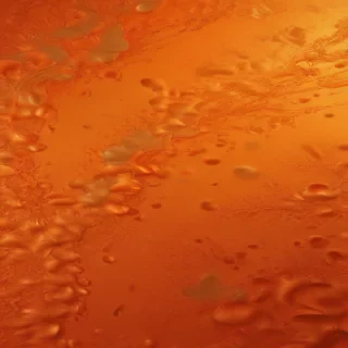 plain orange background