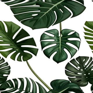 monstera leaf png