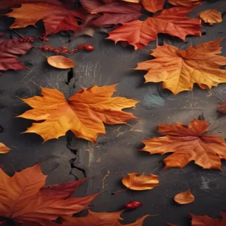 fall wallpaper for iphone