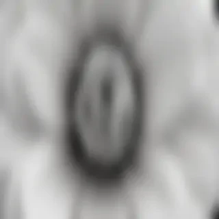 black and white flower