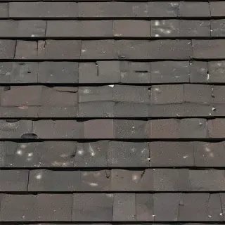 pictures of shingles