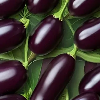new eggplant friday