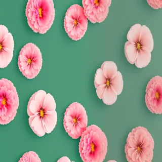 iphone backgrounds floral