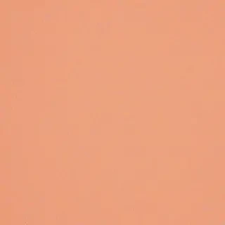 peach color background