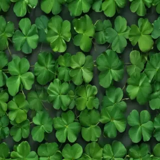 4 leaf clover