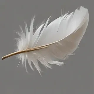 feather png