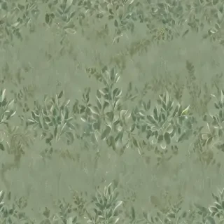sage green photos